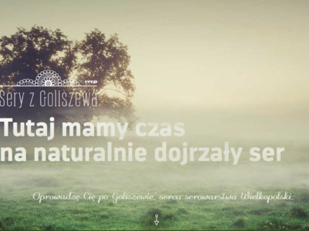 seryzgoliszewa-desktop